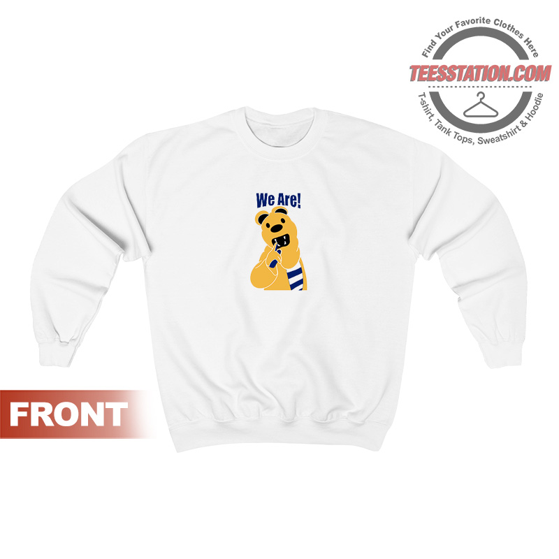 Penn State Nittany Lions Funny Sweatshirt Penn State Nittany Lions Funny Sweatshirt