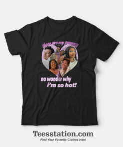 Harry Styles And Lizzo Hizzo My Parents Meme Fan T-Shirt